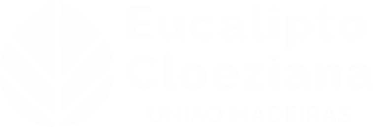Eucalipto Cloeziana — União Madeiras