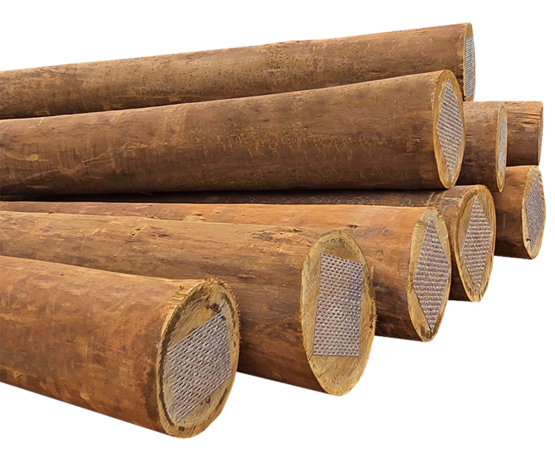 Toras de Eucalipto Cloeziana tratado de Capelinha-MG